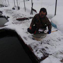 つりぼりあかし 釣果