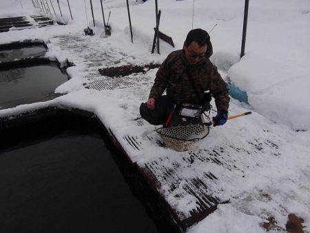 つりぼりあかし 釣果