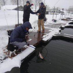 つりぼりあかし 釣果
