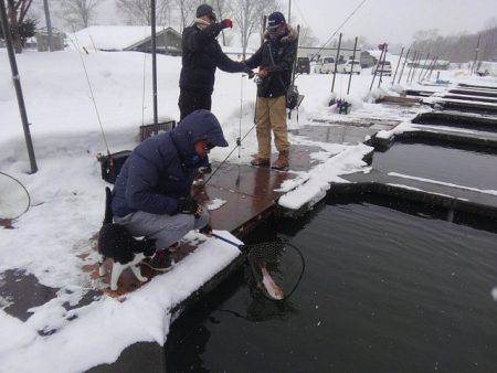 つりぼりあかし 釣果