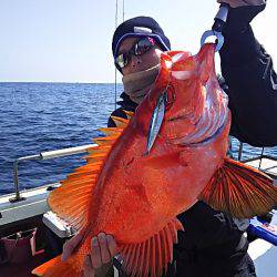 光生丸 釣果