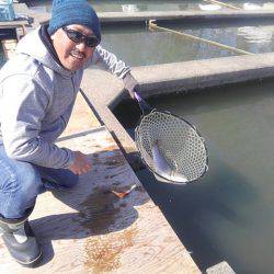 つりぼりあかし 釣果