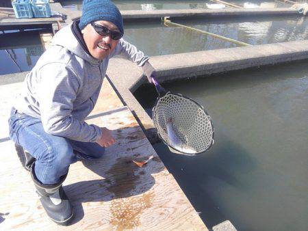 つりぼりあかし 釣果
