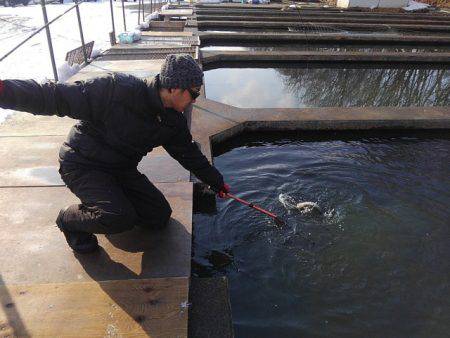 つりぼりあかし 釣果
