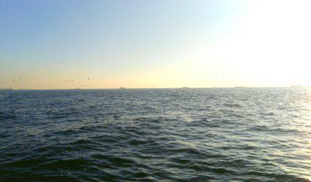 THESEAMAN(ザシーマン) 釣果