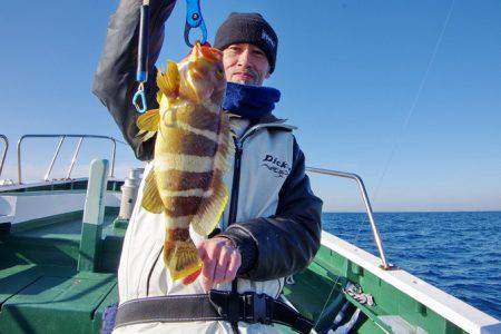 Big One　ビッグワン 釣果