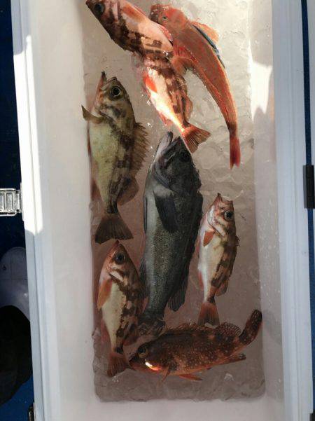 海龍丸（石川） 釣果