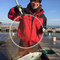 海の釣堀 海恵 釣果