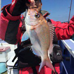 新幸丸 釣果