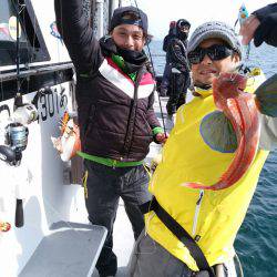 ありもと丸 釣果