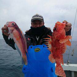 エンペラー 釣果