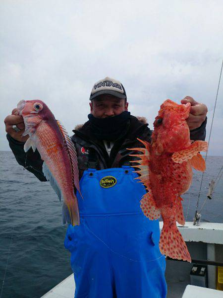 エンペラー 釣果