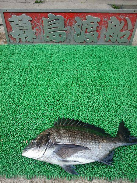 幕島丸 釣果