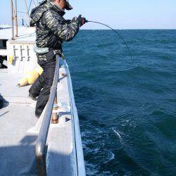 ありもと丸 釣果