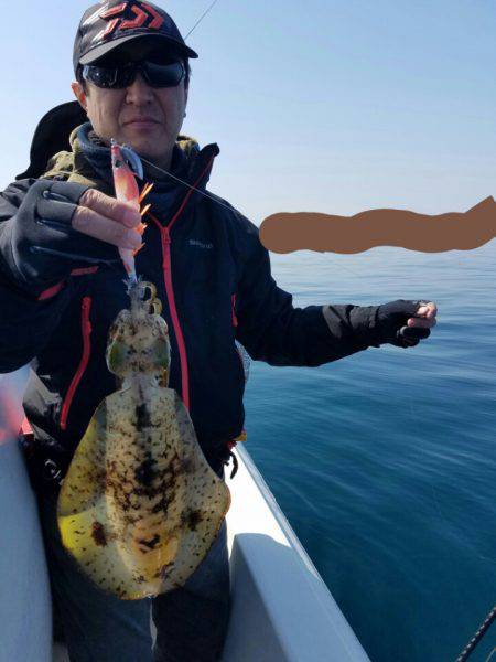 ソルトウォーターガイドフレンズ 釣果