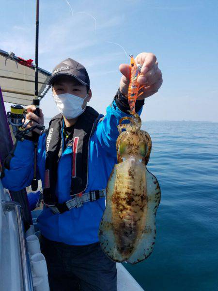 ソルトウォーターガイドフレンズ 釣果