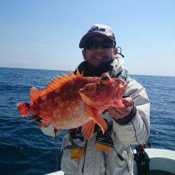 エンペラー 釣果