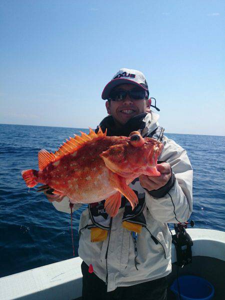 エンペラー 釣果