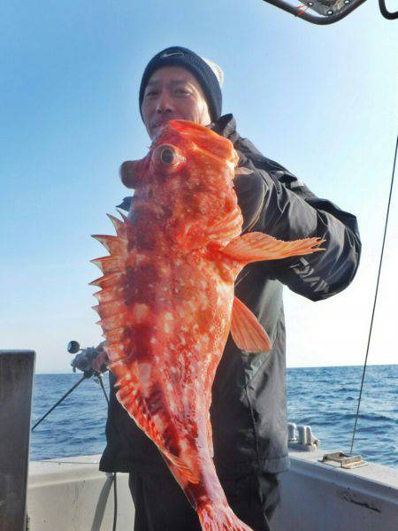 ブルースフィッシングサービス 釣果