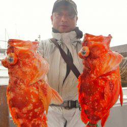 ブルースフィッシングサービス 釣果