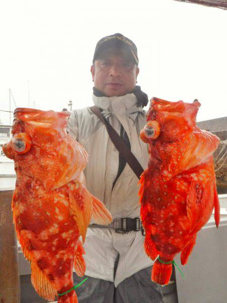 ブルースフィッシングサービス 釣果