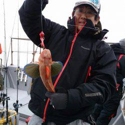 ありもと丸 釣果