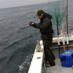 ありもと丸 釣果