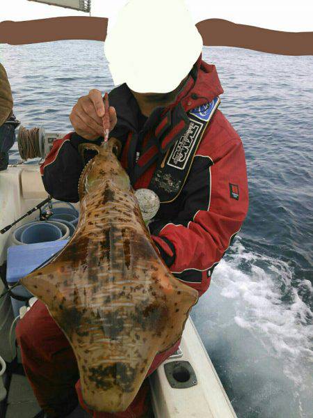 ソルトウォーターガイドフレンズ 釣果