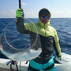 エンペラー 釣果