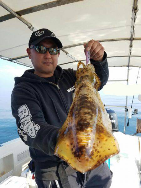 ソルトウォーターガイドフレンズ 釣果