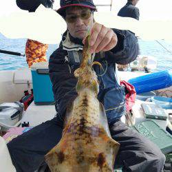 ソルトウォーターガイドフレンズ 釣果