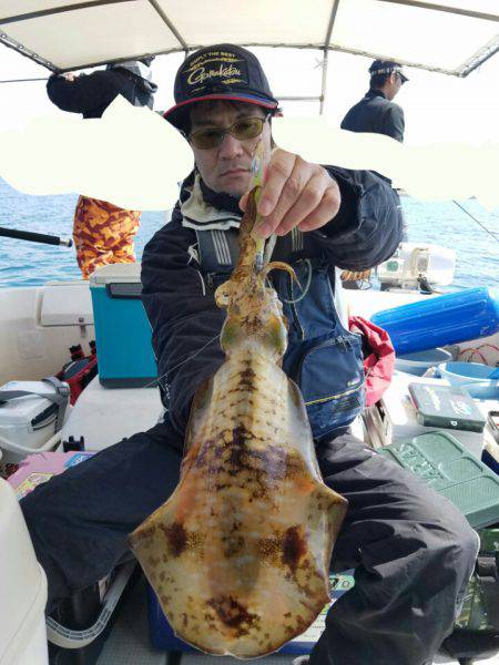 ソルトウォーターガイドフレンズ 釣果