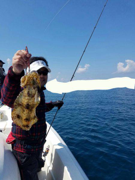 ソルトウォーターガイドフレンズ 釣果