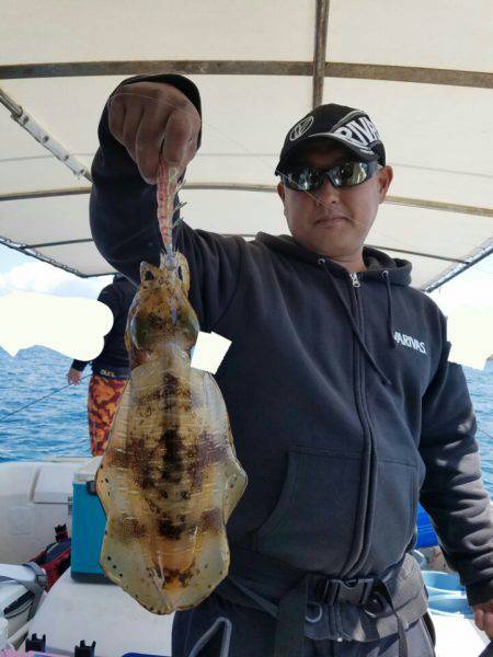 ソルトウォーターガイドフレンズ 釣果