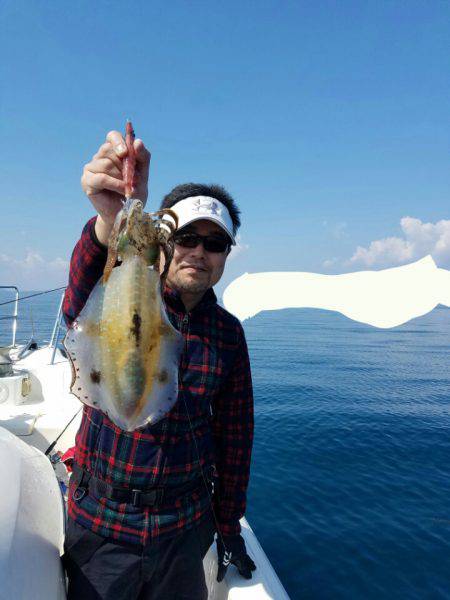 ソルトウォーターガイドフレンズ 釣果