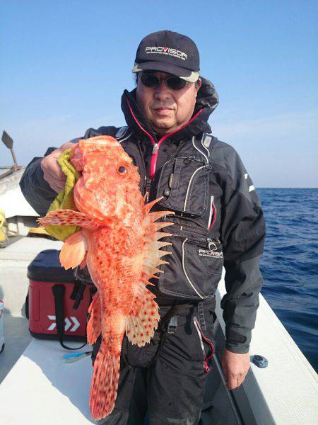 エンペラー 釣果