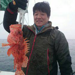 エンペラー 釣果