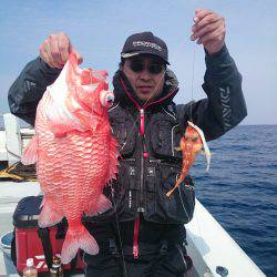 エンペラー 釣果