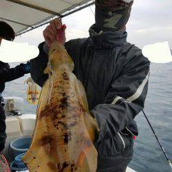 ソルトウォーターガイドフレンズ 釣果