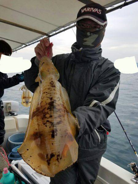 ソルトウォーターガイドフレンズ 釣果