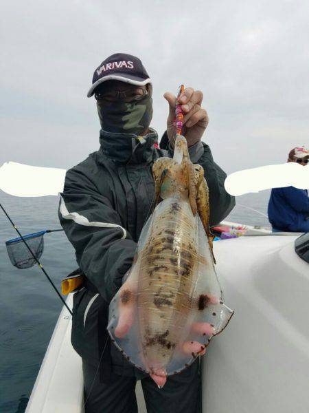 ソルトウォーターガイドフレンズ 釣果