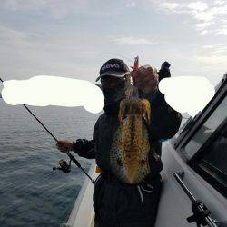 ソルトウォーターガイドフレンズ 釣果