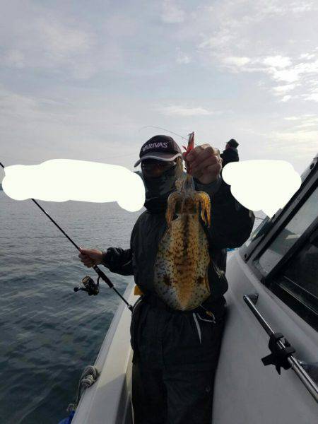 ソルトウォーターガイドフレンズ 釣果