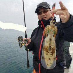 ソルトウォーターガイドフレンズ 釣果