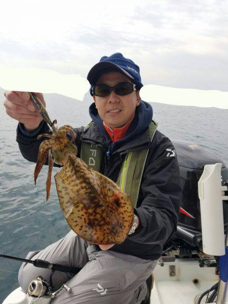 ソルトウォーターガイドフレンズ 釣果