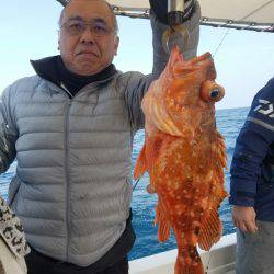 ソルトウォーターガイドフレンズ 釣果