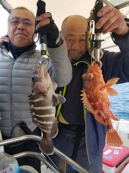 ソルトウォーターガイドフレンズ 釣果