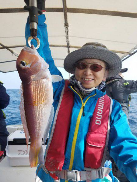 ソルトウォーターガイドフレンズ 釣果