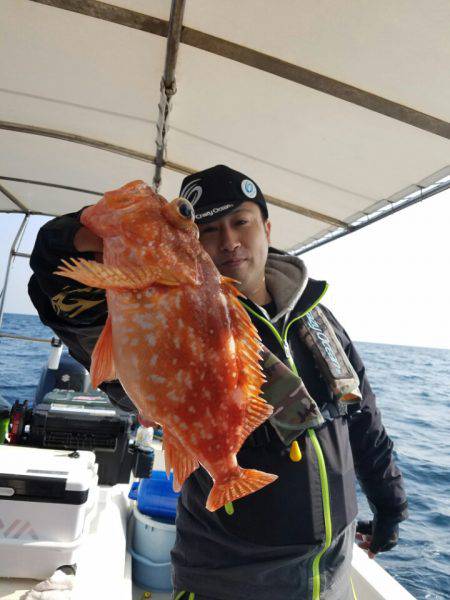 ソルトウォーターガイドフレンズ 釣果