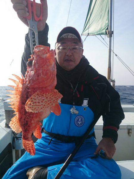 エンペラー 釣果